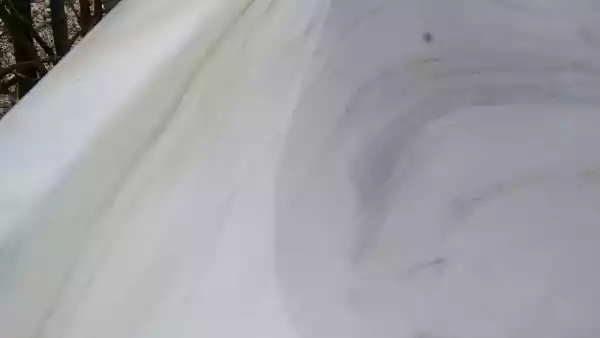 Venature del Marmo di Lasa all'interno della vasca di una fontana