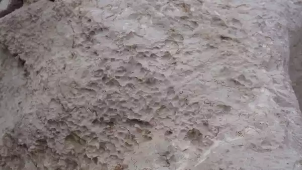 Dettaglio pietra naturale rocciosa di rosso Asiago dalla fontana in pietra naturale